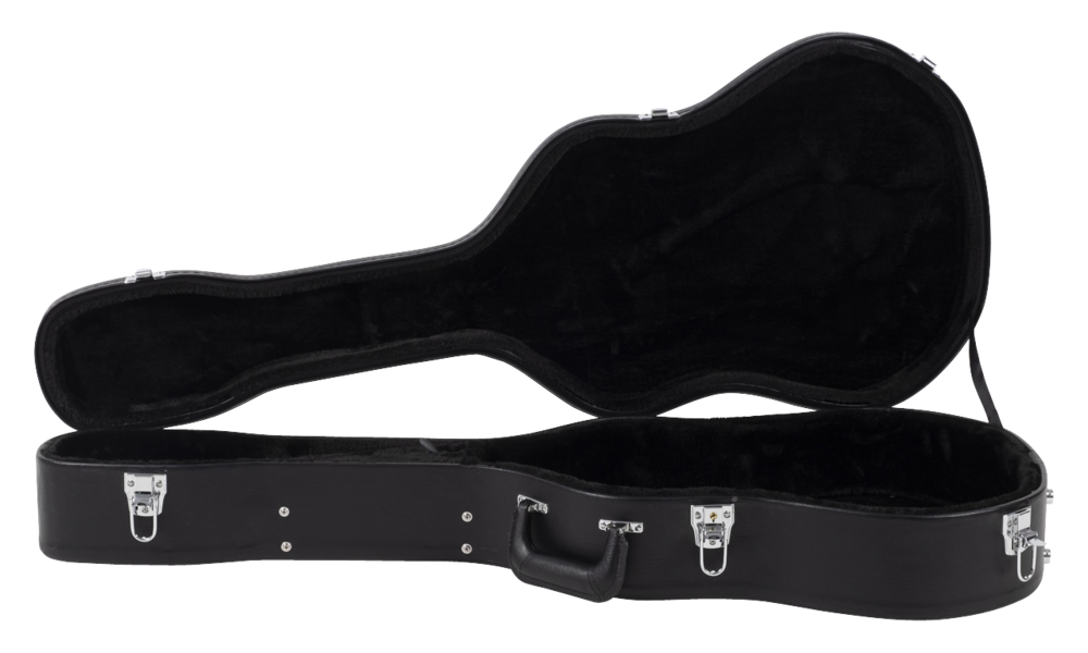 CG-022 — Guardian Cases CG-022 — Guardian Cases